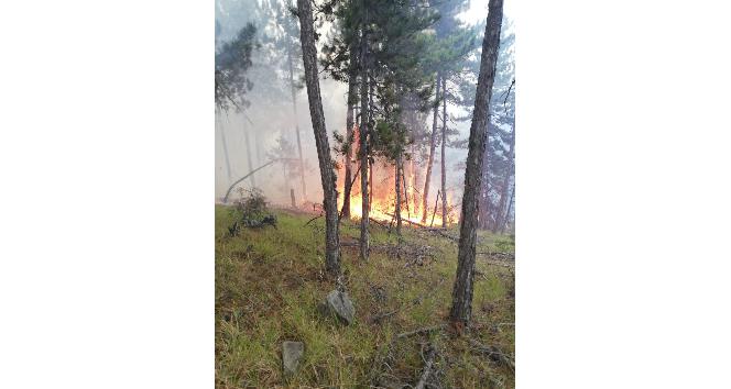 Edinilen bilgiye göre saat 14.00 civarında Boyabat Elekçam İşletme Şefliğine bağlı Koçak köyü mevkisinde bilinmeyen bir sebepten dolayı orman yangını meydana geldi. Boyabat Orman İşletme Şefliğine bağlı arazözler bölgeye sevk edilirken yangın kontrol