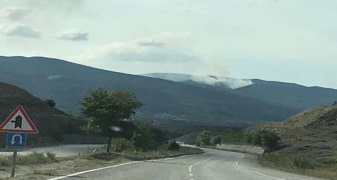 Sinop’ta orman yangını devam ediyor