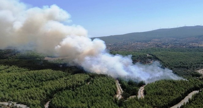 Bodrum’da çıkan orman yangınında alevler köylere ulaştı