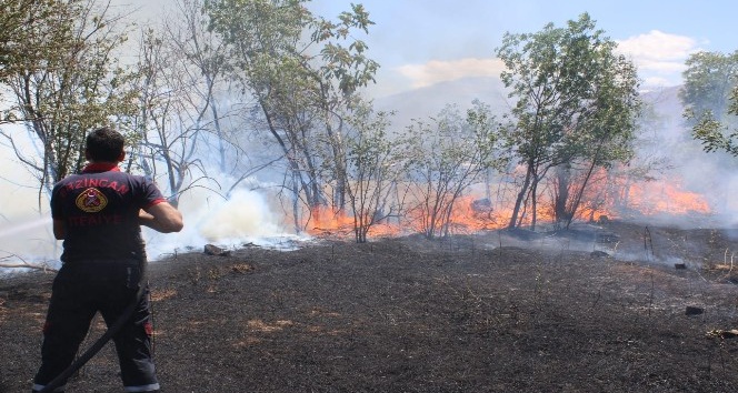 Anız yangınında 40 dönüm arazi yandı