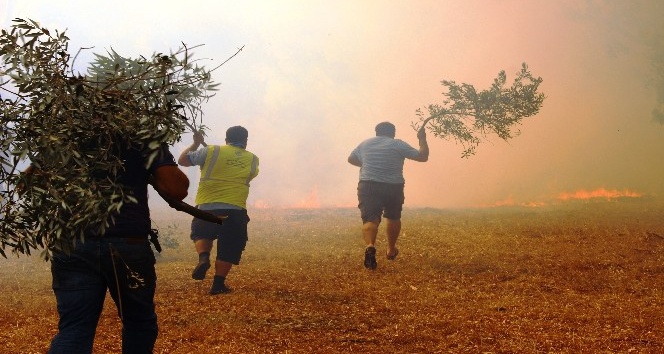 Bodrum’daki orman yangını tehlikeli boyuta ulaştı