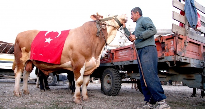 1.5 tonluk 'S-400' 17 bin 250 TL’ye satıldı