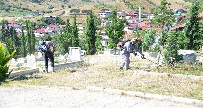 Erbaa’da Kurban Bayramı hazırlıkları