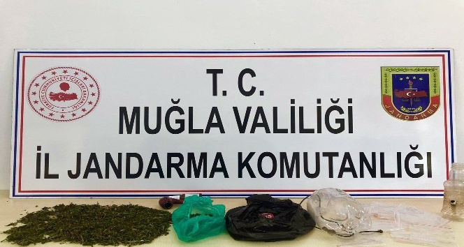 Jandarmadan uyuşturucu partisine baskın