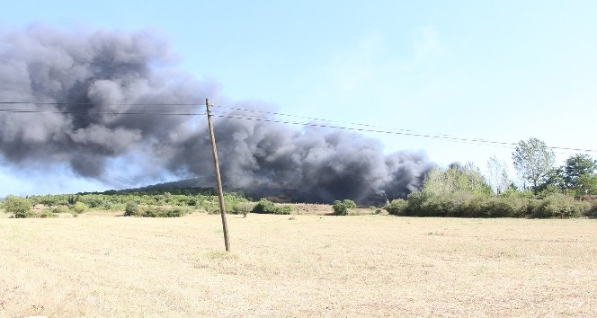 Kula’da katı atık bertaraf tesisinde yangın