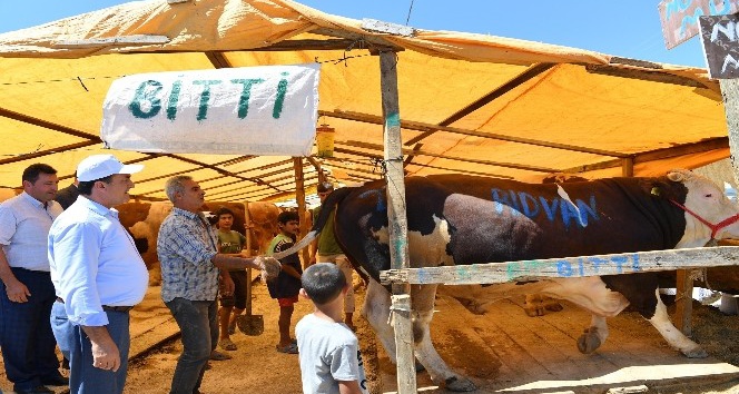 Osmangazi kurban bayramına hazır