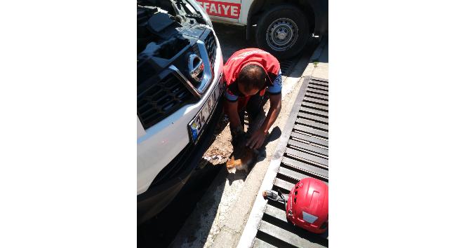 Otomobilin motor bölümüne giren kedi yavrusunu itfaiye kurtardı