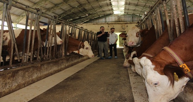 AB Bilginin desteklediği hayvancılık tesislerine ziyaret