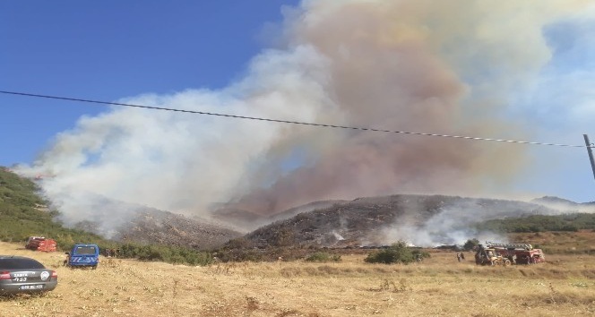 Afyon’da orman yangını