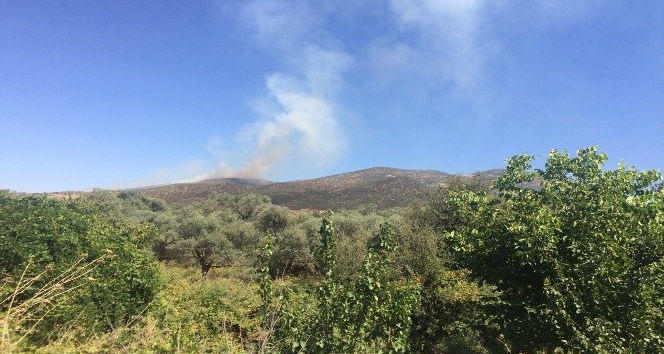 Ödemiş’te orman yangını: Yangın kontrol altına alındı