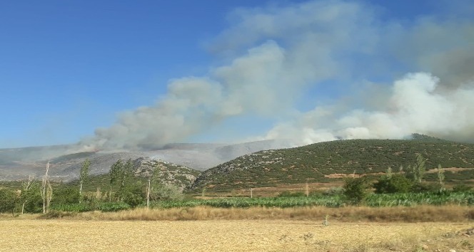 Afyonkarahisar’ın Başmakçı ilçesinde çıkan orman yangını sabaha karşı kontral altına alındı