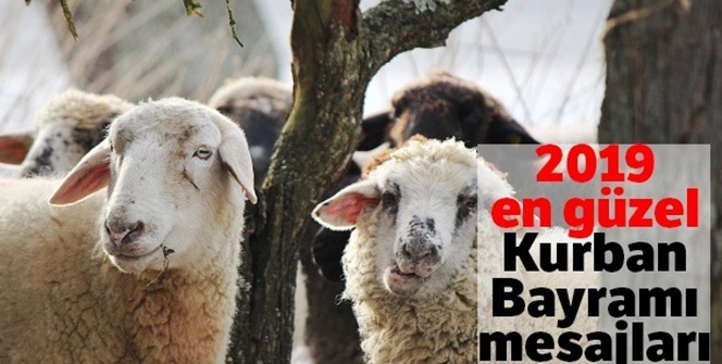 Kurban Bayramı mesajları: En Anlamlı, resimli, kısa ve uzun Kurban Bayramı mesajları|12 Ağustos 2019 Pazar