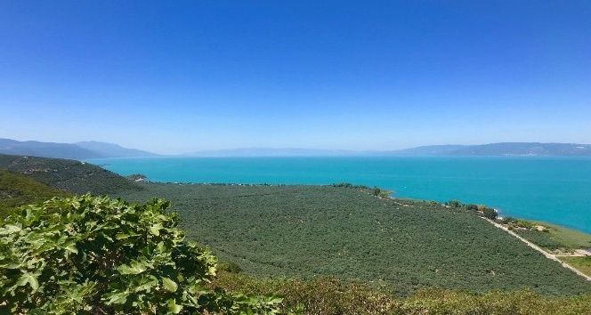 İznik Gölü turkuaz rengiyle büyüledi