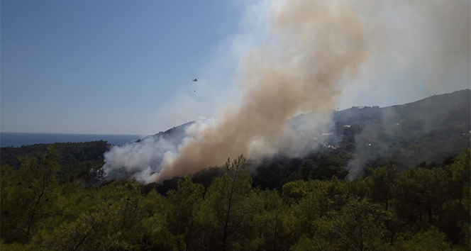 Antalya&#039;da orman yangını! 10 hektar Kızılçam zarar gördü...