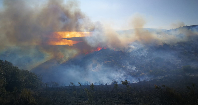 İznik’te orman yangını
