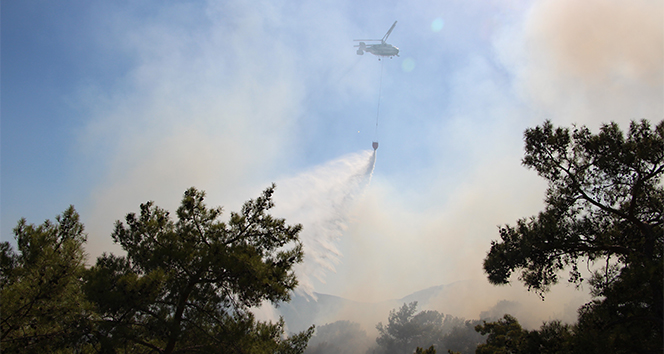 Antalya&#039;da 3 saat süren orman yangını kontrol altına alındı