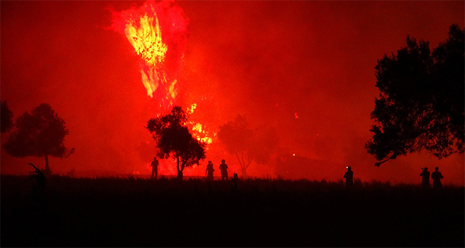 Çanakkale’deki yangının bilançosu ortaya çıkmaya başladı