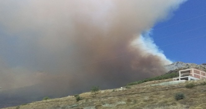 Marmara Adası’nda orman yangını