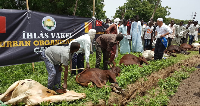 İhlas Vakfı bu bayram da kurbanları ihtiyaç sahiplerine ulaştırdı