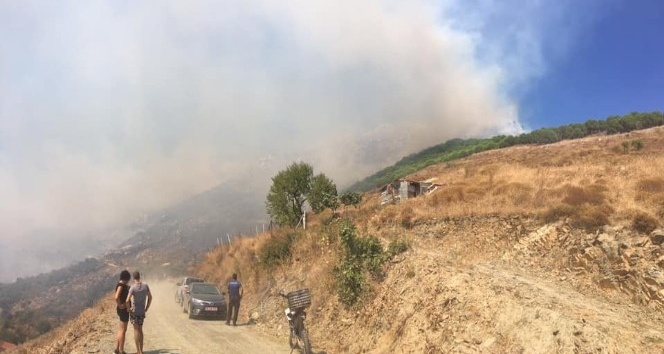 Marmara Adası’nda yangın kontrol altına alınamıyor