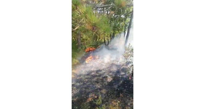 Gebze’de orman ve çalılık alan yangını