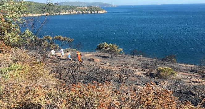 Burgazada’da orman yangını kontrol altına alındı