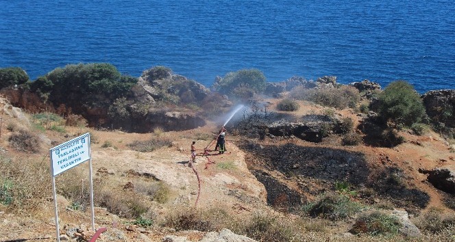 Antalya falezlerde makilik yangını