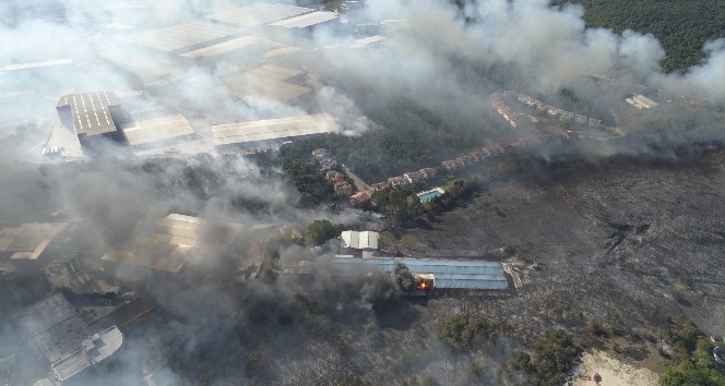 Gebze’de orman ve çalılık yangını havadan görüntülendi