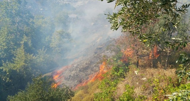 Marmara Adası’nda kontrol altına alınan yangın tekrar başladı