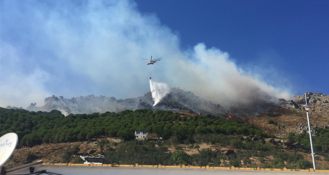 Marmara Adası yangını kontrol altında