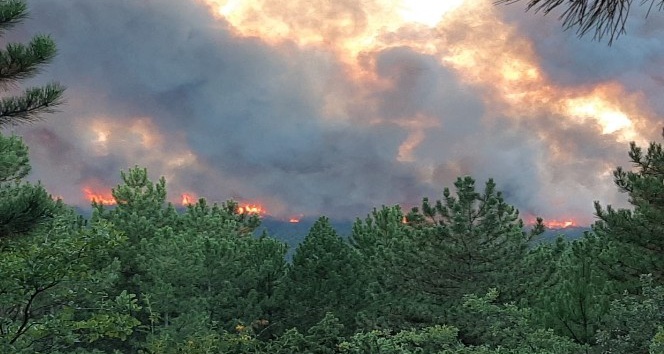 Kütahya’daki orman yangına havadan ve karadan müdahale ediliyor