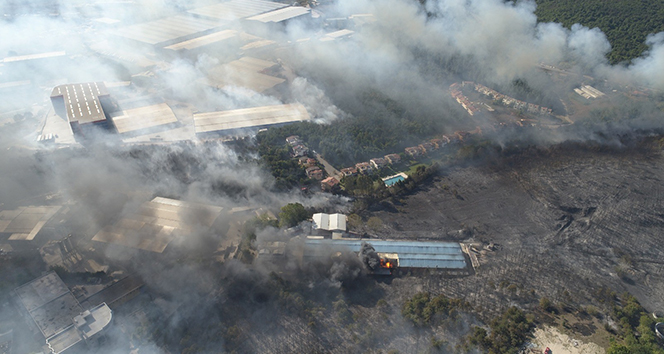 Fabrikaya sıçrayan yangında 30 hektarlık ormanlık alan zarar gördü