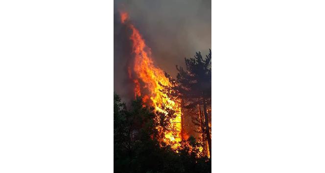 Kütahya’daki orman yangını söndürme çalışmaları sürüyor