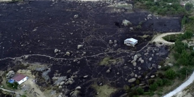 Marmara Adası'ndaki yangının bilançosu gün ağarınca ortaya çıktı