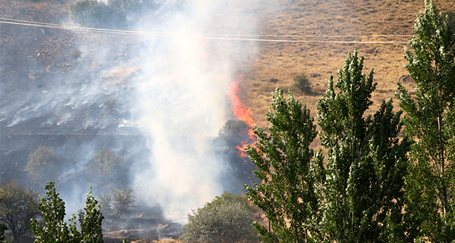 Hekimhan’da çıkan yangında 50 hektarlık alan zarar gördü