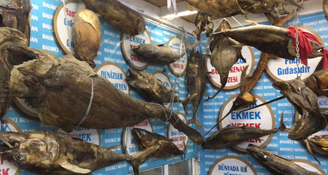Türkiye Deniz Canlıları Müzesi ziyaretçi rekoru kırdı