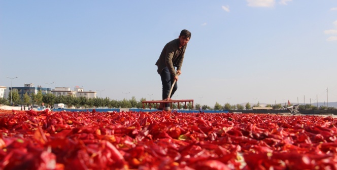 Urfalıların 'acı' ile imtihanı başladı