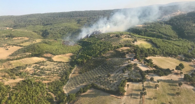 Bergama’daki orman yangını söndürüldü