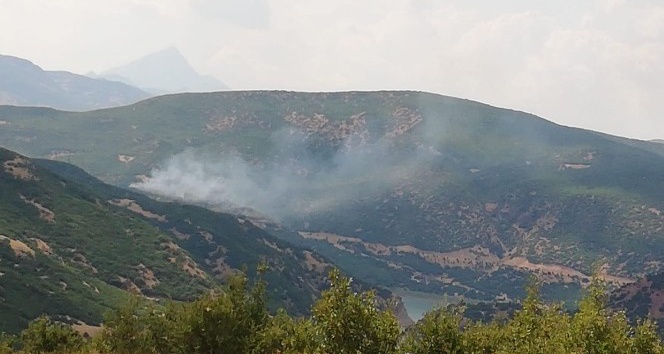 Bingöl’de orman yangını, ekipler söndürdü
