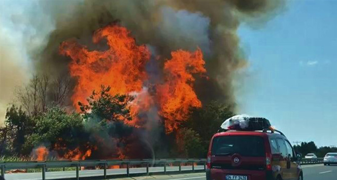 İstanbul - Tekirdağ yolundaki ağaçlık alanda yangın
