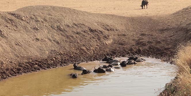 Burası Afrika değil, Ergani