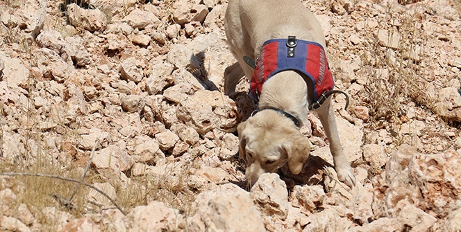 Onlar Kıran-2 operasyonunda teröristlerin korkulu rüyası