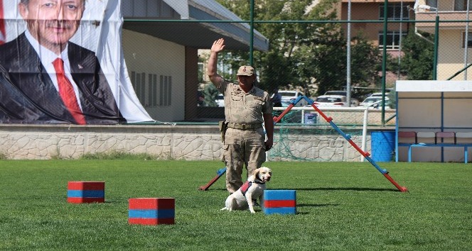 30 Ağustos Zafer Bayramı gösterilerine eğitimli köpeklerin gösterisi damga vurdu