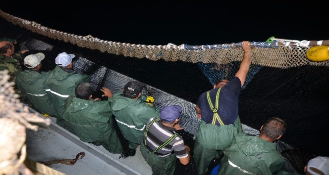 Karadenizli balıkçılar ‘Vira Bismillah’ dedi, denizden istavrit çıktı