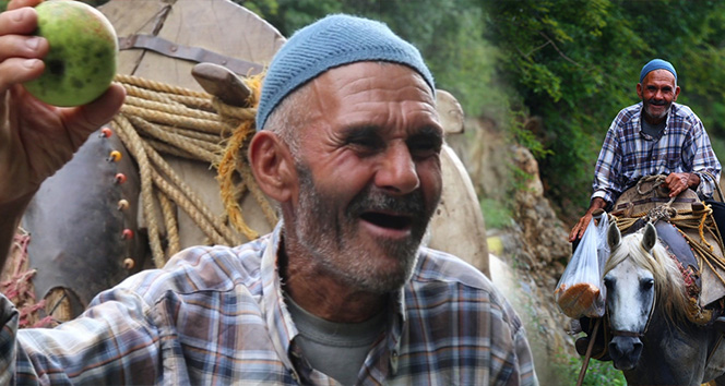 60 yÄ±ldÄ±r at Ã¼stÃ¼nde elma satÄ±yor