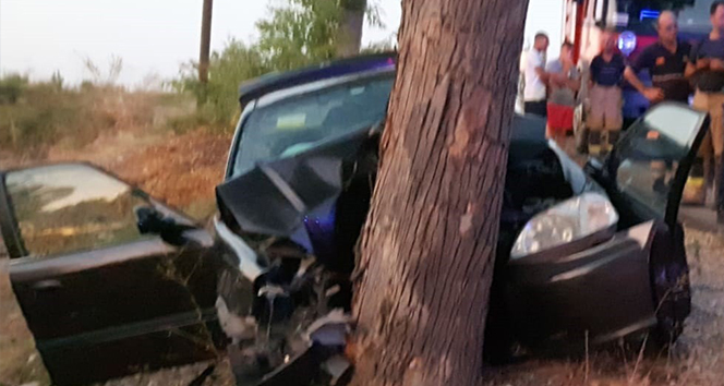 Ä°zmir'de otomobil aÄaca Ã§arptÄ±: 3 Ã¶lÃ¼, 1 yaralÄ±