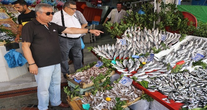Edirne’de balık tezgahları hareketlendi, hamsi dolardan hızlı düşüyor