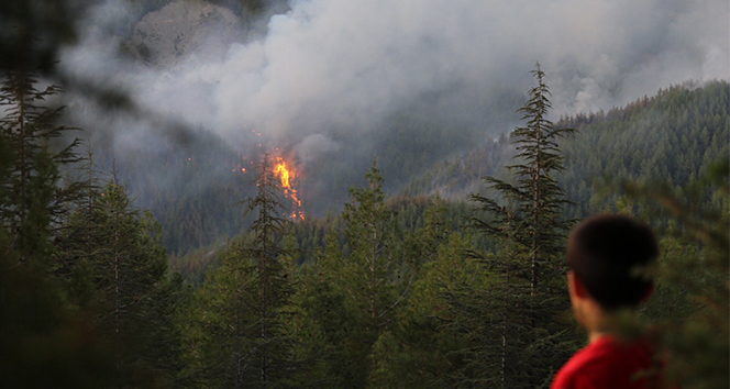 Kaş&#039;taki orman yangını kontrol altına alınmaya çalışılıyor