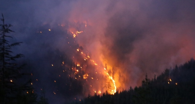 Kaş&#039;taki orman yangınında hızlı müdahale büyümeyi önledi