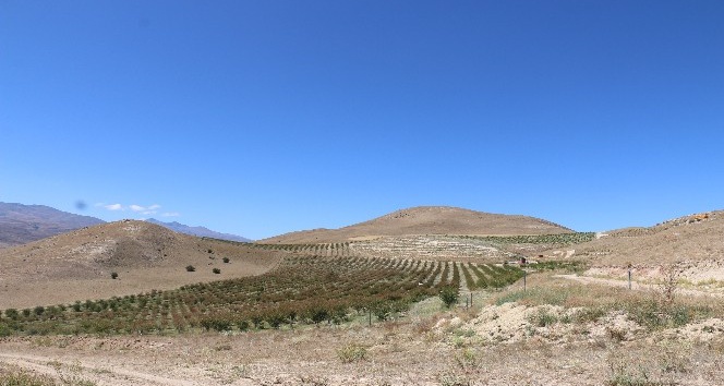 Erzincan’da tarımsal üretim yapan tesisler ziyaret edildi